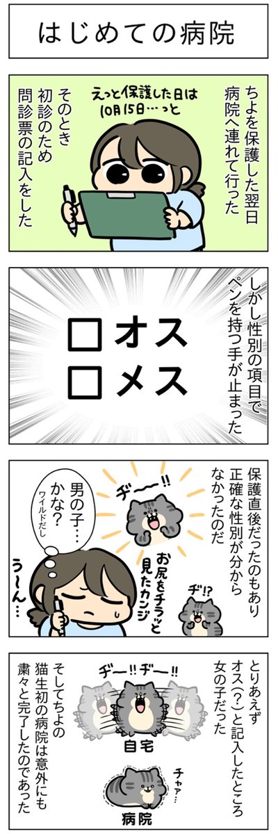 子猫ごはん・はじめての病院│フェリシモ猫部 https://t.co/Cft5CPjOlX 