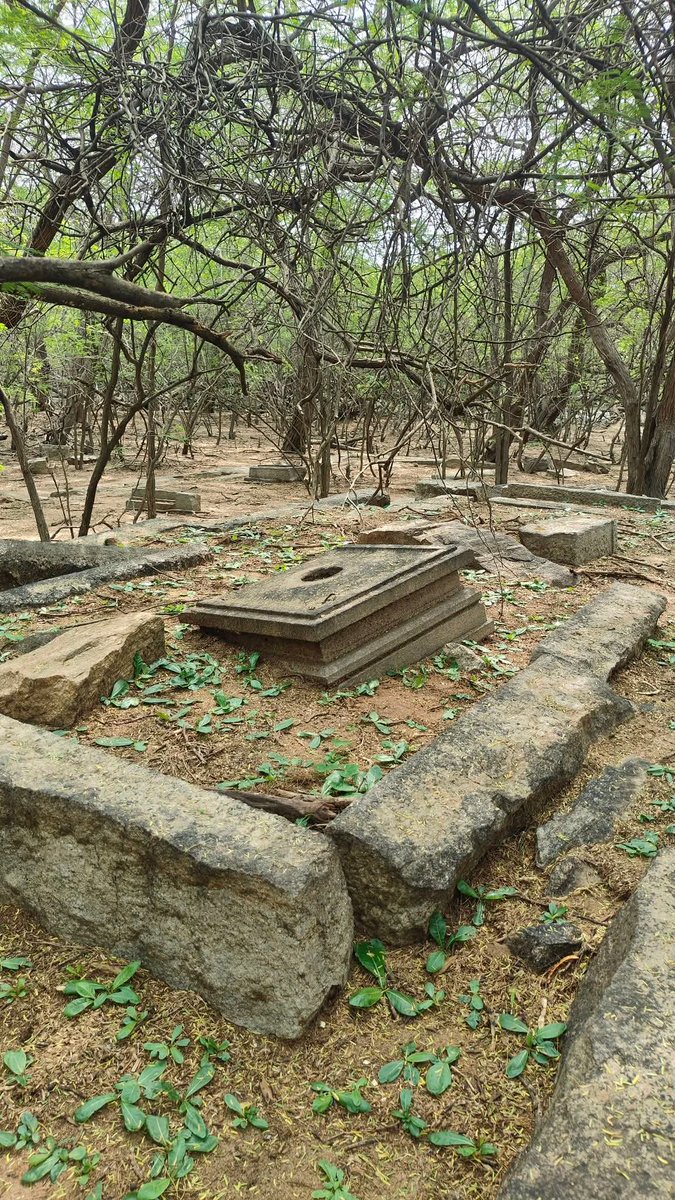 Saigeet36566874's tweet photo. A Pandya era Shiva temple is lying in ruins in Kilathari village, Sivagangai dt, TN. This temple must be more than 1000 years old and the linga avudais scattered shows the antiquity of the structure. #SaveTNTemples

Credits: Ariyatha Alayangal https://t.co/It2q2SCHm6
