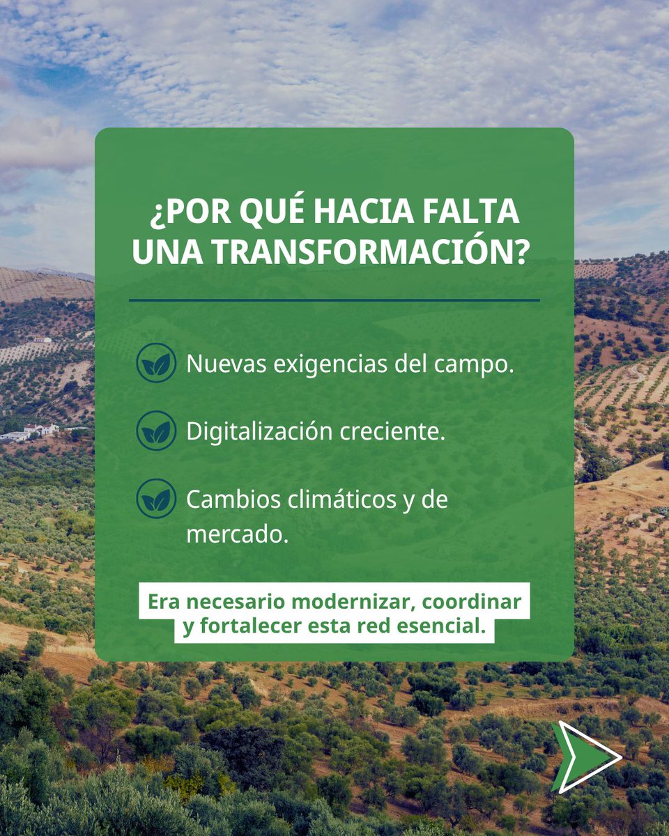OVA Andalucía (@ovaandalucia) on Twitter photo 🌾 Nuestras OCA están listas para afrontar los nuevos desafíos del campo andaluz.
En estos cuatro años, desde <a href="/AgriculturAnd/">Consejería AgriPesca</a> y <a href="/AgapaAndalucia/">Agencia de Gestión Agraria y Pesquera de Andalucía</a> hemos desplegado un plan ambicioso para responder a las necesidades reales del sector agrario.
🧵 ¡Te contamos más en este hilo! 🌾 Nuestras OCA están listas para afrontar los nuevos desafíos del campo andaluz.
En estos cuatro años, desde <a href="/AgriculturAnd/">Consejería AgriPesca</a> y <a href="/AgapaAndalucia/">Agencia de Gestión Agraria y Pesquera de Andalucía</a> hemos desplegado un plan ambicioso para responder a las necesidades reales del sector agrario.
🧵 ¡Te contamos más en este hilo!