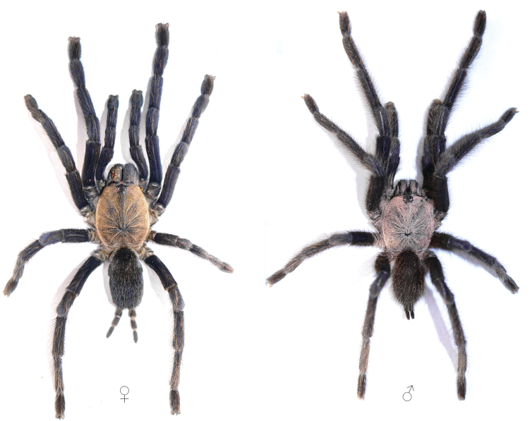 Subterranean Biology tweet media