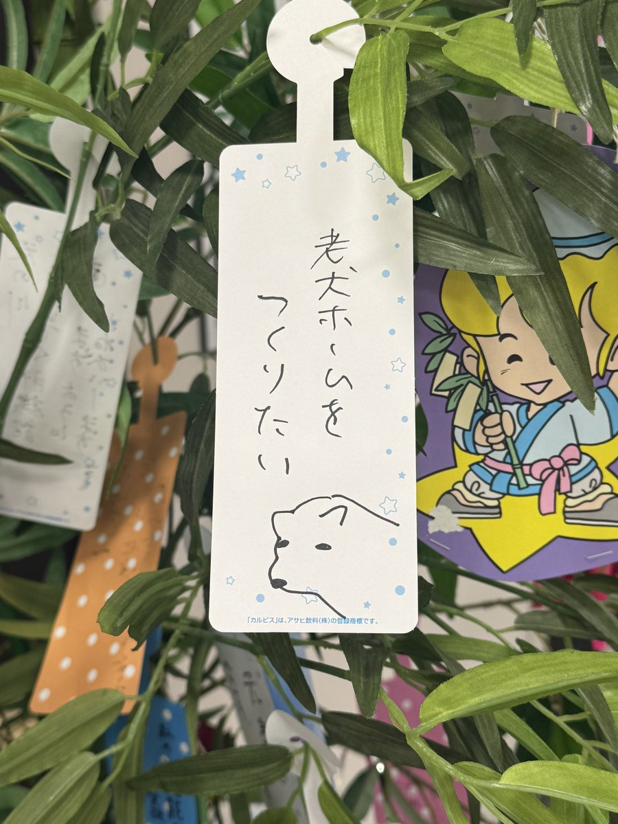 ななすけ (@nanasuke_55) / Posts / X