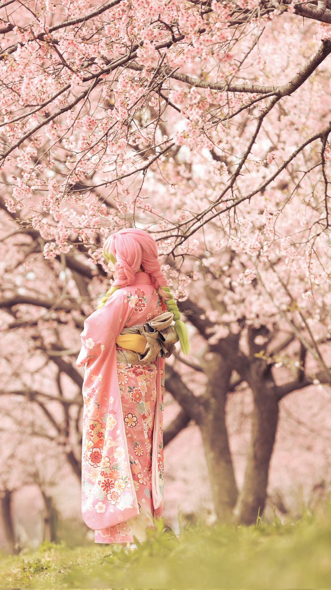 鬼滅の刃 188話 - 甘露寺 蜜璃🌸 

P. <a href="/kuoooooosbckn/">くお📷🌸</a>
