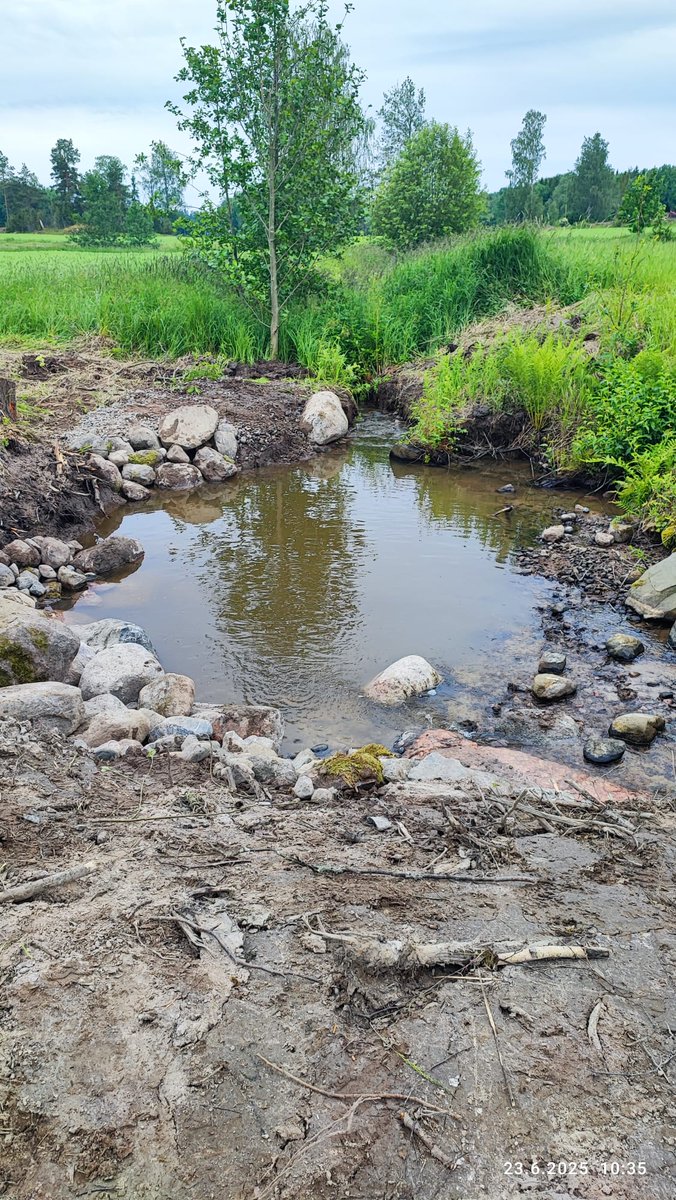 river_savers's tweet photo. Pientä kunnostusta ennen sateita, kiitos avusta @nyholmtero ja @stopseln 💙🐟👍.
Saatiin tuettua reunoja ja uuden soraikon samalla. Myöhemmin jatketaan vielä hieman kutusoran ja isojen kivien asennuksella.#vaelluskala #havsöring #sjørret #meritaimen https://t.co/Xn3N0Zdg2L