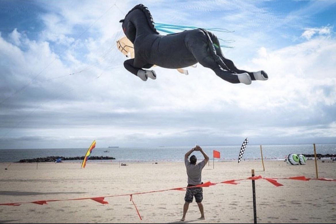 cedric__roux's tweet image. Dump Coney Island