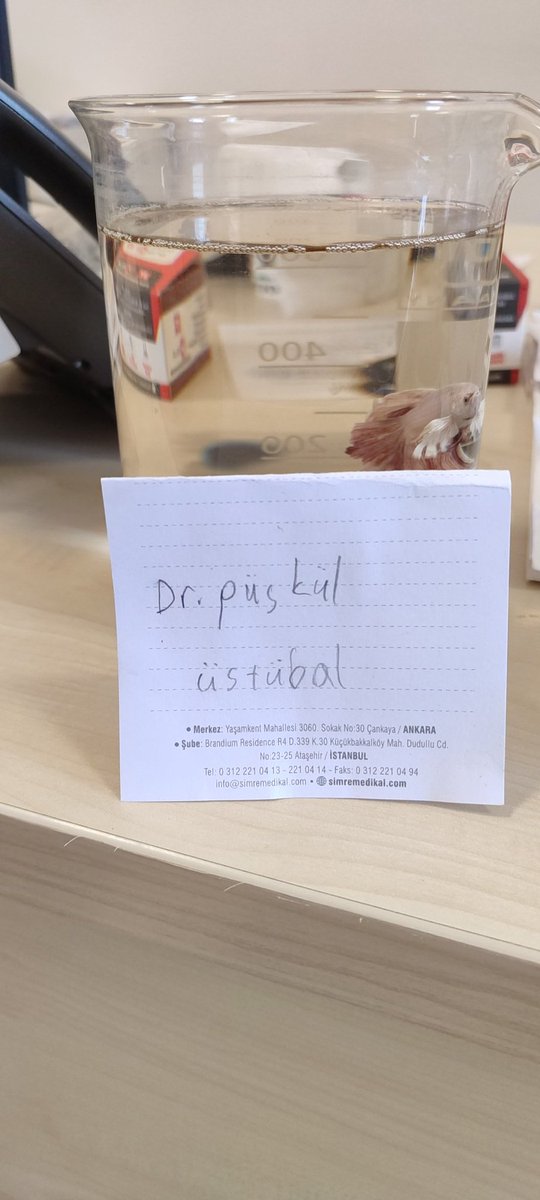 sen yıllarca çalış didin balık hâlinle akademik kariyer yap bir akvaryumu bile çok görsünler