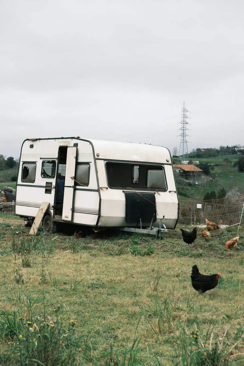 GEURETIK SORTUAK
Sormen egonaldien ekuatorera iritsi garen honetan, orain arte bildutakoaren berri eman dugu albiste honetan:
udalbiltza.eus/albisteak/sort…