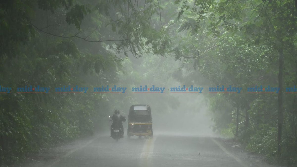 Mid Day (@mid_day) on Twitter photo Vehicles passed through Aarey Colony Road during heavy rain in Goregaon (East), Mumbai.
Credits: <a href="/satejss/">Satej Sharad Shinde</a>
#Mumbai #MumbaiRains #MumbaiNews Vehicles passed through Aarey Colony Road during heavy rain in Goregaon (East), Mumbai.
Credits: <a href="/satejss/">Satej Sharad Shinde</a>
#Mumbai #MumbaiRains #MumbaiNews
