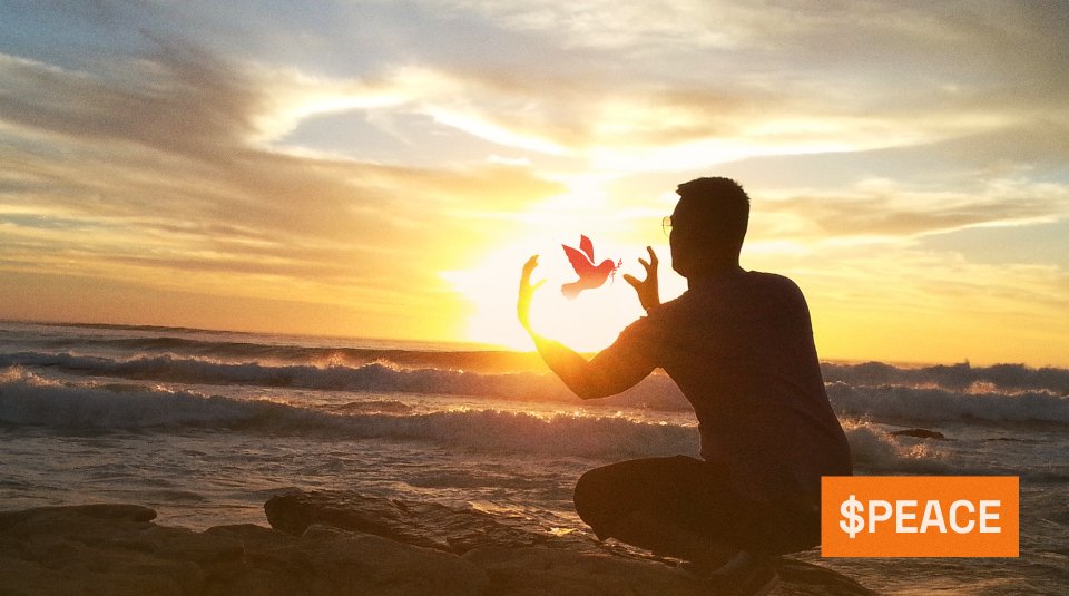 danu 👨‍🍳 tweet media