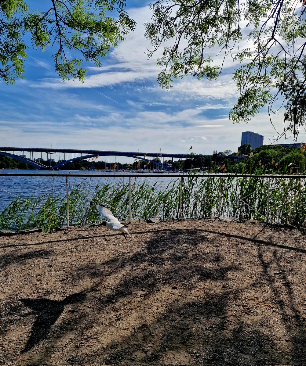 Visst är det skönt med sommar/semester ändå 😃😃