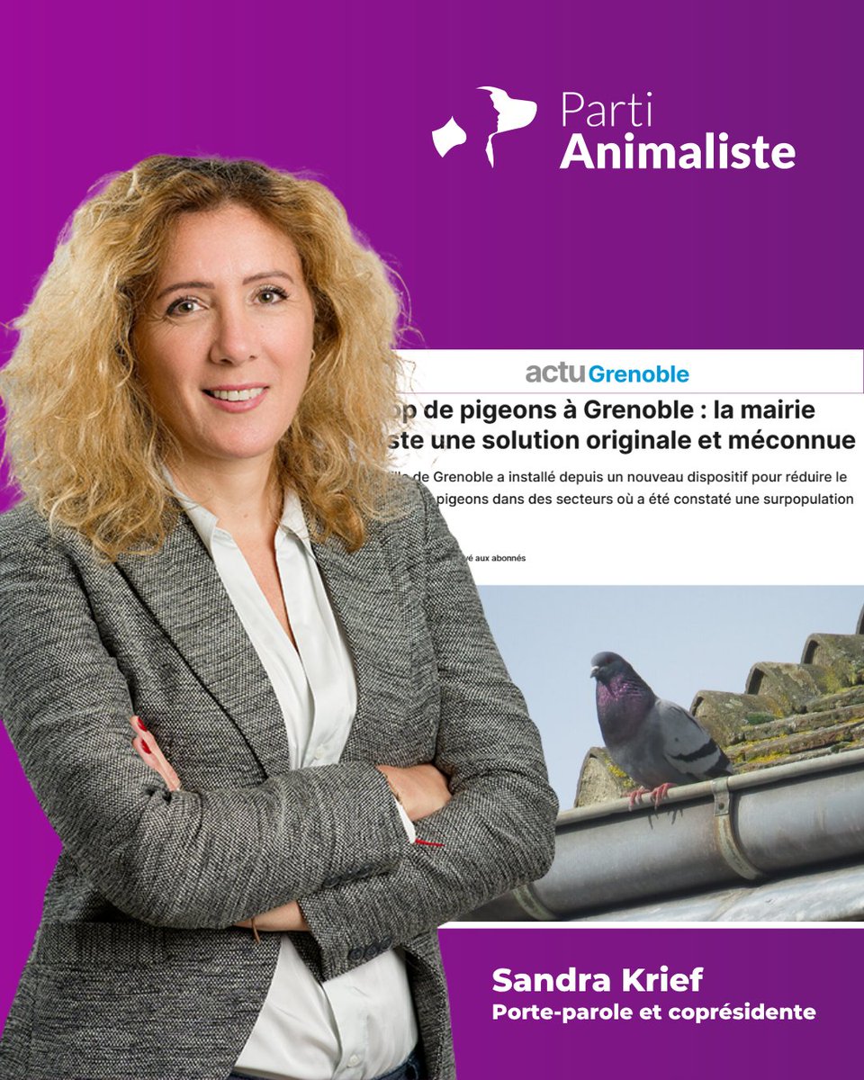 Parti animaliste (@partianimaliste) on Twitter photo Sous l'impulsion de notre élue chargée de la condition animale, des distributeurs de graines contraceptifs ont été installés à Grenoble pour contrôler la population de pigeons ! <a href="/SandraKrief/">Sandra Krief</a>
Oui, il est possible de cohabiter avec les animaux liminaires qui partagent nos villes ! Sous l'impulsion de notre élue chargée de la condition animale, des distributeurs de graines contraceptifs ont été installés à Grenoble pour contrôler la population de pigeons ! <a href="/SandraKrief/">Sandra Krief</a>
Oui, il est possible de cohabiter avec les animaux liminaires qui partagent nos villes !