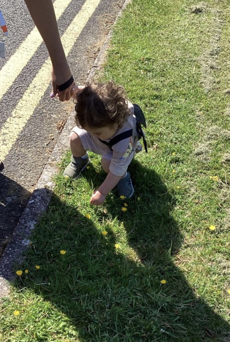 The children in Baby Room have enjoyed going for a walk around the school grounds. They explored the flower boxes and picked some of the flowers off the field to look at them more closely.