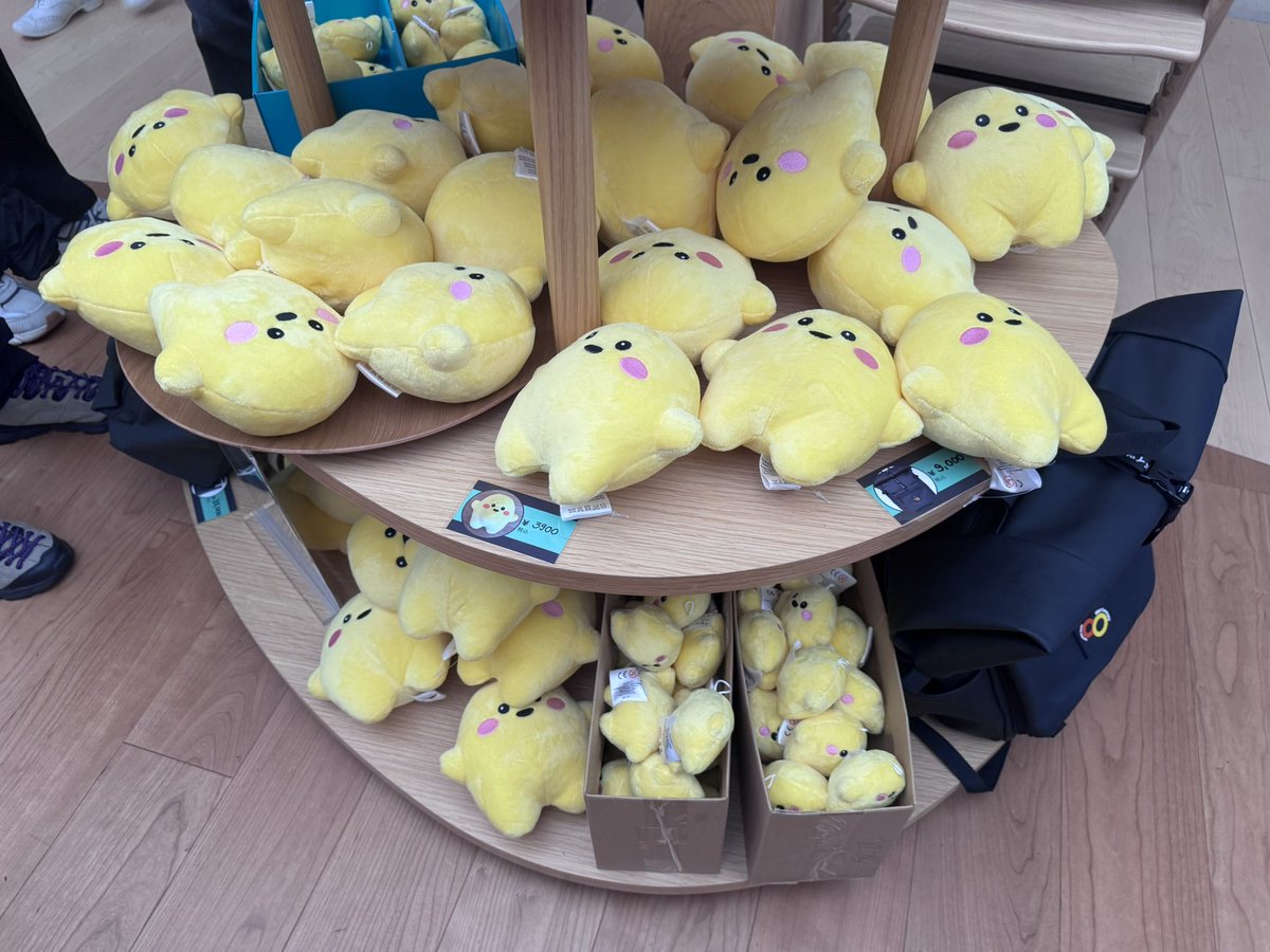 ドイツ館 サーキュラー 2つ 5/10万博レポ❤️2……万博2回目、会場に入って真っ先に向かったの