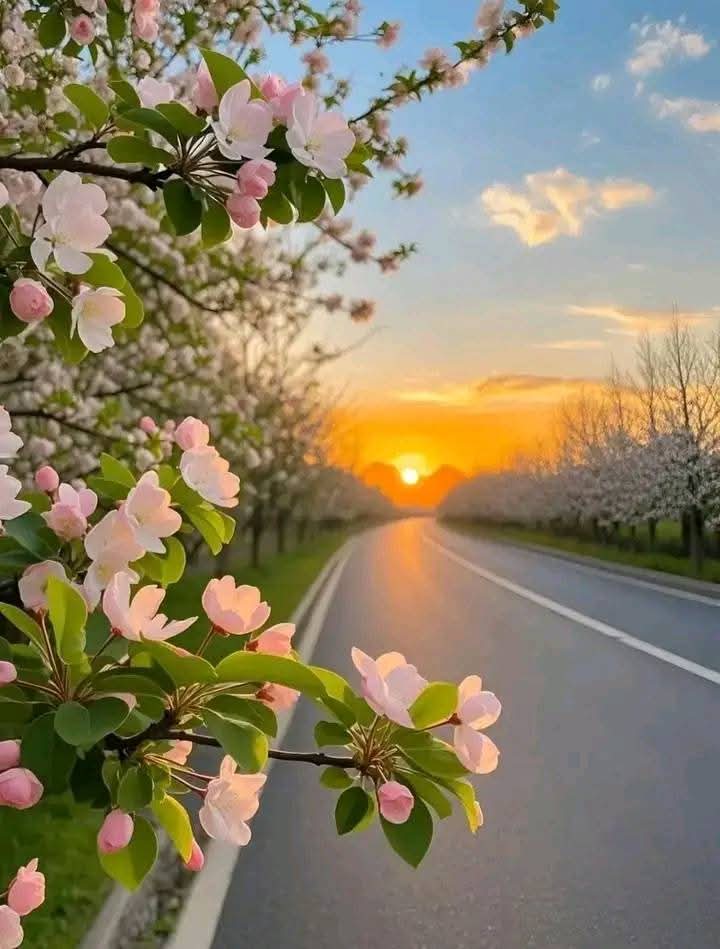 سورت الناس کےہالےمیں کھڑی ہوں گم صم__؛؛
میرے چاروں جانب شور مچاتے "شر" ہیں __؛؛