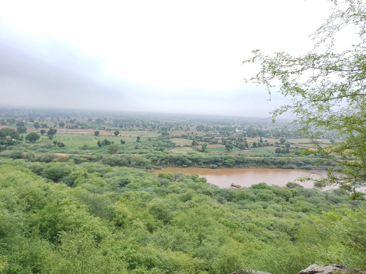 #કુદરતી
🌳🌳🌴🌴