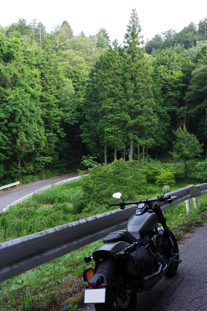 Demezaimoku's tweet photo. ぷらっとツーリング②
新緑に癒されてきた
＃ツーリング
＃県道19号線
＃土岐足助線
＃ヘアピン
＃紫陽花
＃観覧車
＃1枚目2枚目は縦
＃RICOH_GR3x
＃ファットボブ114
＃FXFBS
＃バイク乗りと繋がりたい

＃蒸し暑かったけど雨じゃないからオケ https://t.co/N3iMHJN1jV