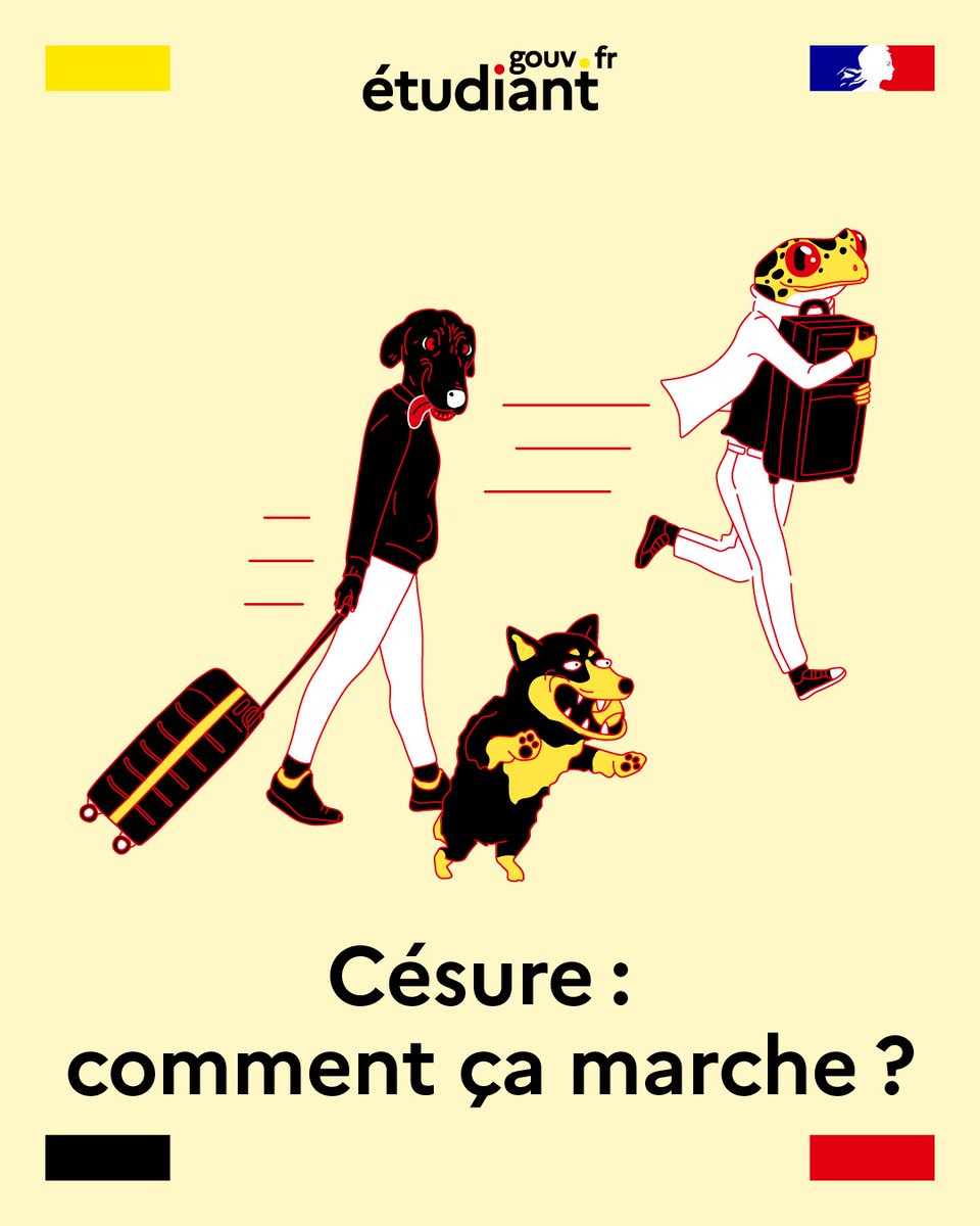 #RentréeEtu2025 | Envie de faire un break dans vos études pour vous consacrer à un projet ? Pensez à la césure !

Pour plus d'infos, consultez notre FAQ Césure 👉swll.to/qViIg