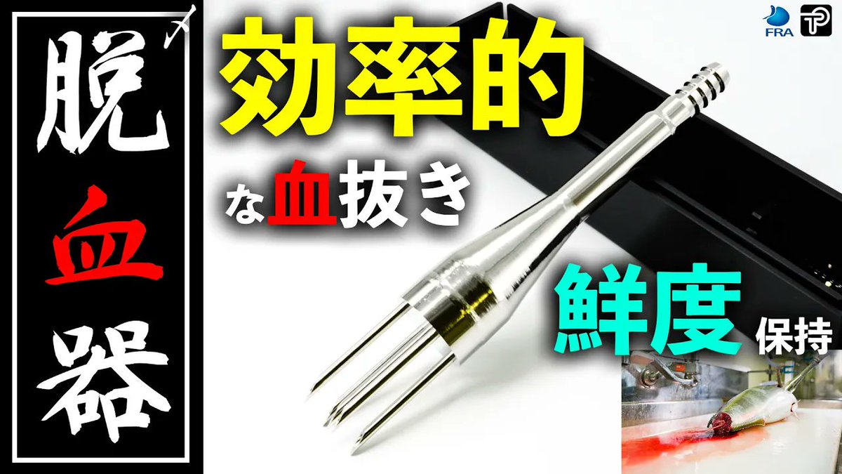 fra_go_jp's tweet image. ふらっとらぼ(YouTube)に新しい動画を投稿しました!
■脱血器の使い方。誰でも簡単に魚の血抜きを! 水産研究・教育機構×株式会社玉川パイプ
youtu.be/JaIcG35ef_4?si…
#ブリ #血抜き #水産研究教育機構 #玉川パイプ #脱血器