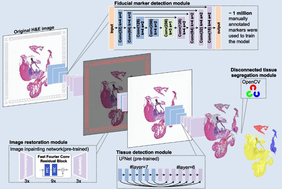 Vispro improves imaging analysis for Visium spatial transcriptomics
genomebiology.biomedcentral.com/articles/10.11…