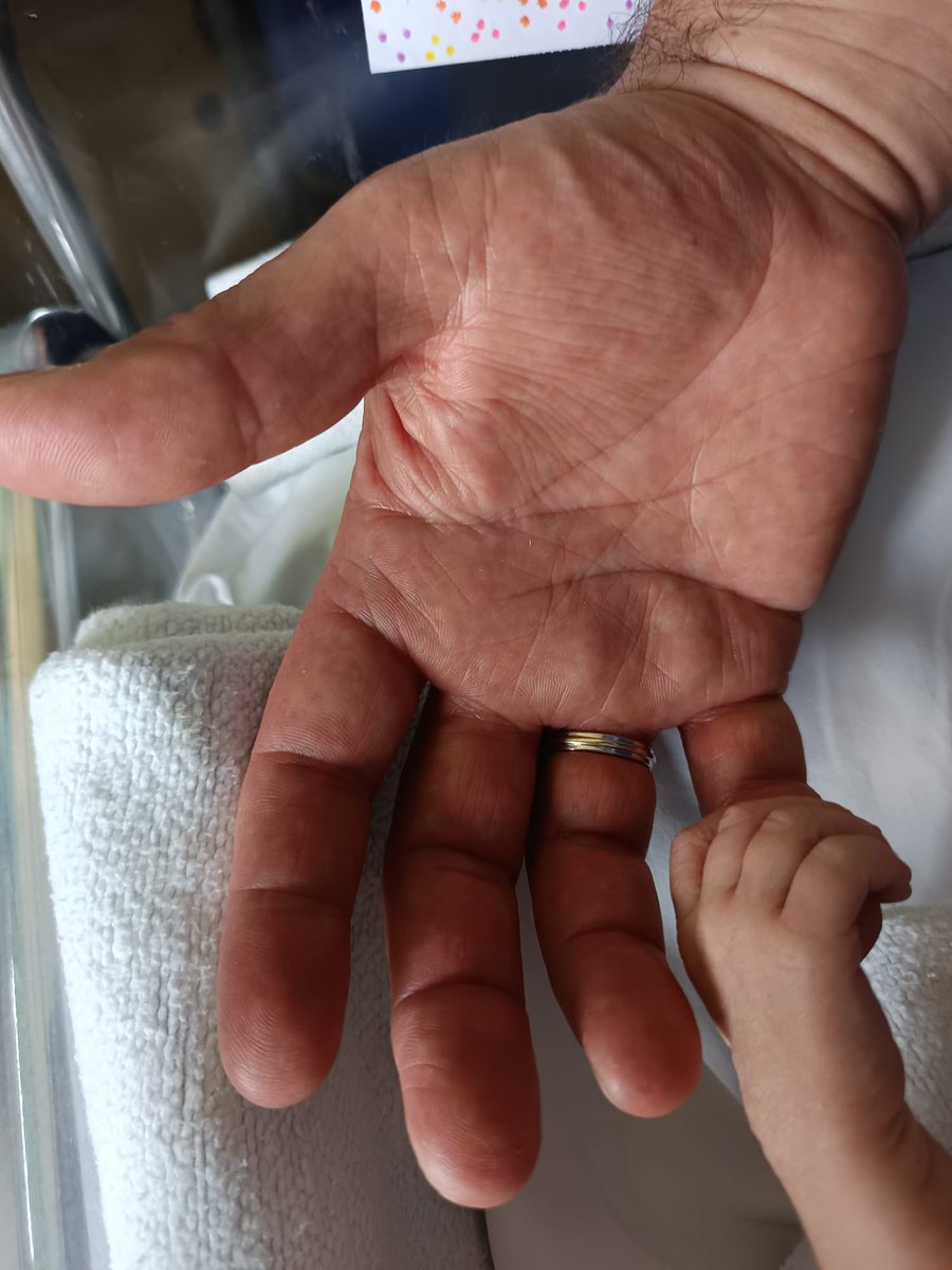 No suelo compartir nada personal en redes pero la ocasión lo merece. Estamos muy felices por el nacimiento de nuestra hija, Navia 😍. En las próximas 6 semanas vamos a tener cerrado nuestro Ecomuseo y no podremos enviaros miel. Sentimos las molestias, nos vemos el 4 de Agosto 😃