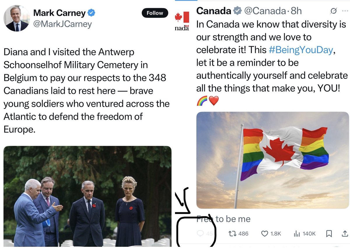 Carney putting on a show pretending he cares about our soldiers who passed while he allowed the Canada page to desecrate our flag.