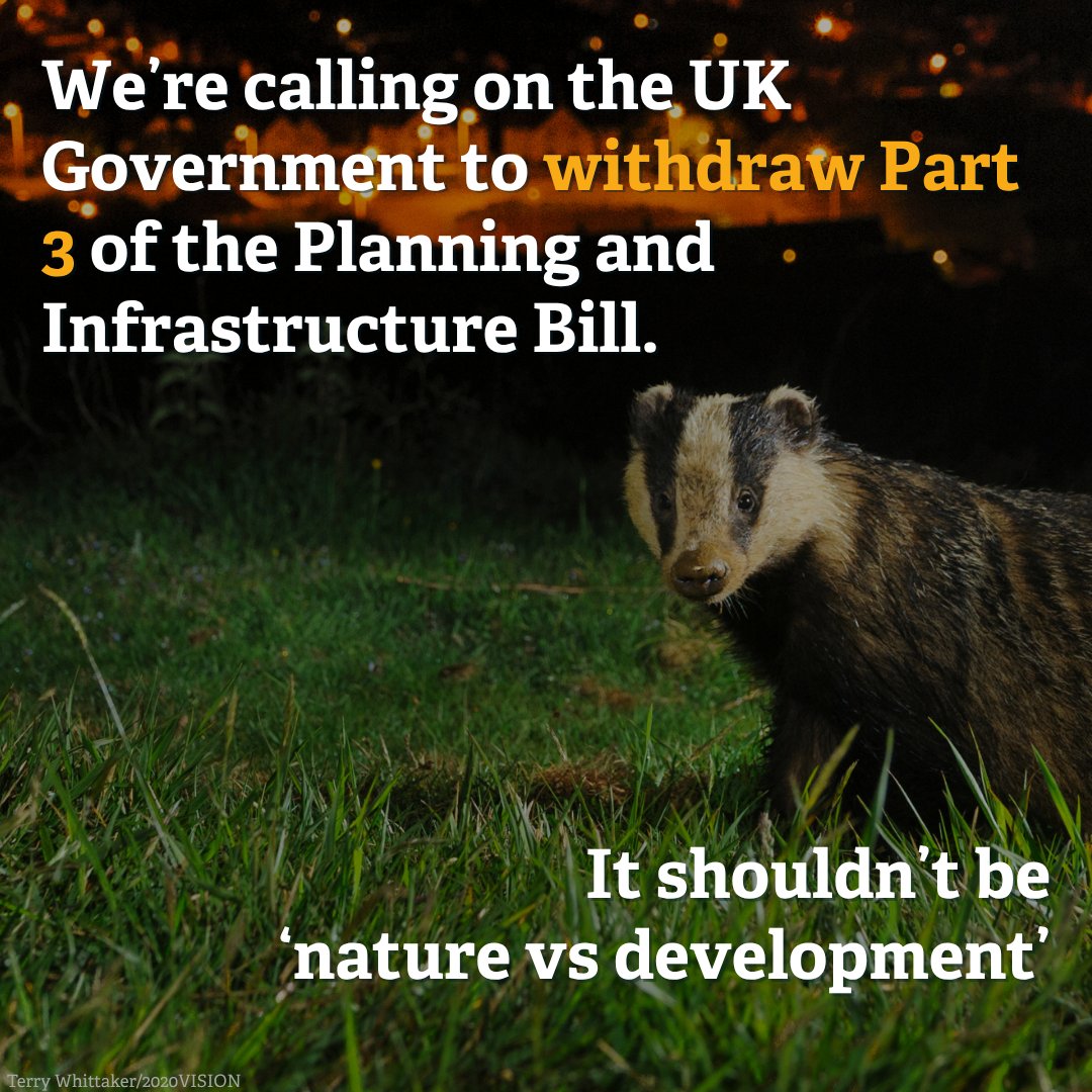 The UK Government promised voters they would protect nature and build new towns “with nature at the heart”. Yet the Planning and Infrastructure Bill will undo important protections. That's why we're calling on Government to withdraw Part 3 of the Bill.