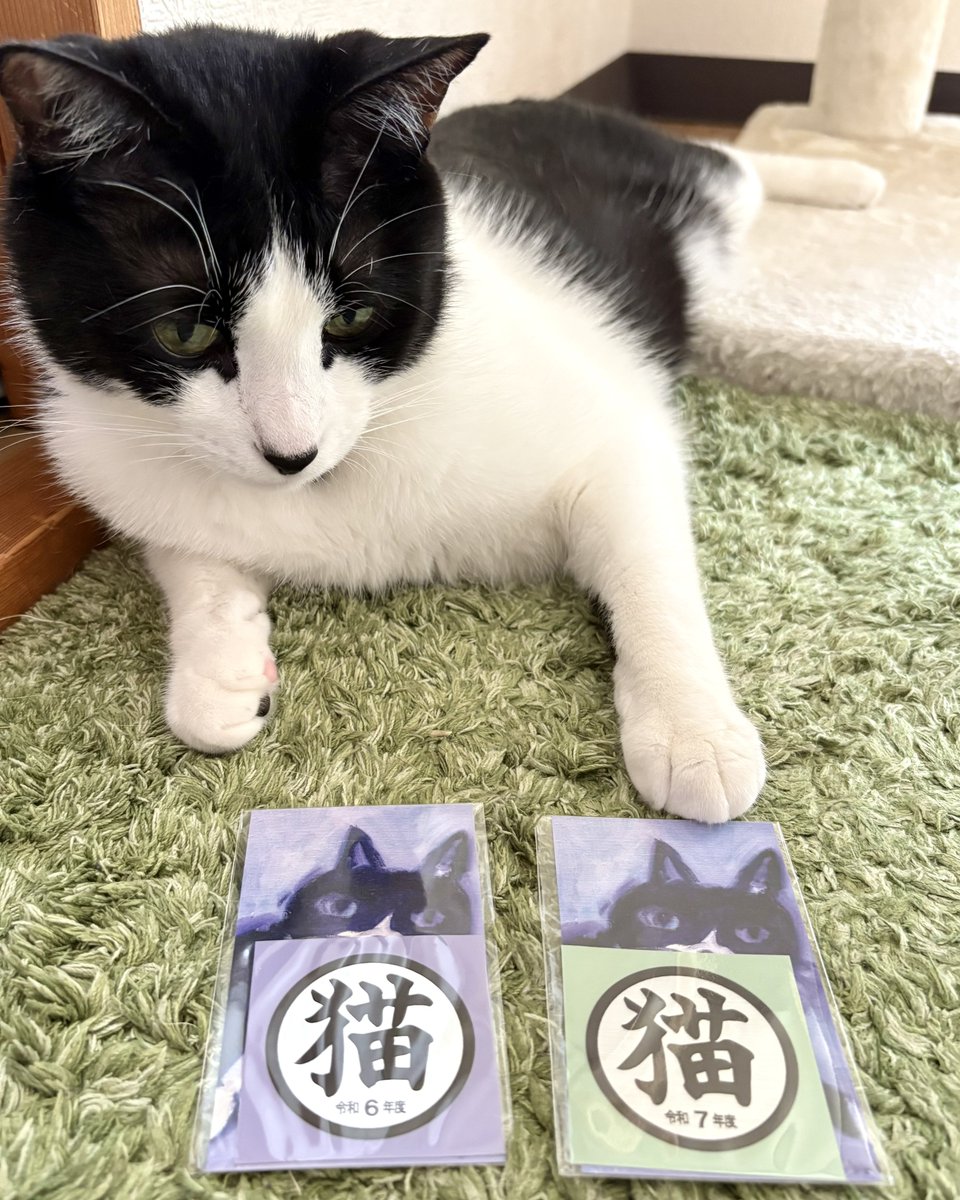 最高にイカしたステッカーを手に入れました

<a href="/kaibutsushop/">83</a>