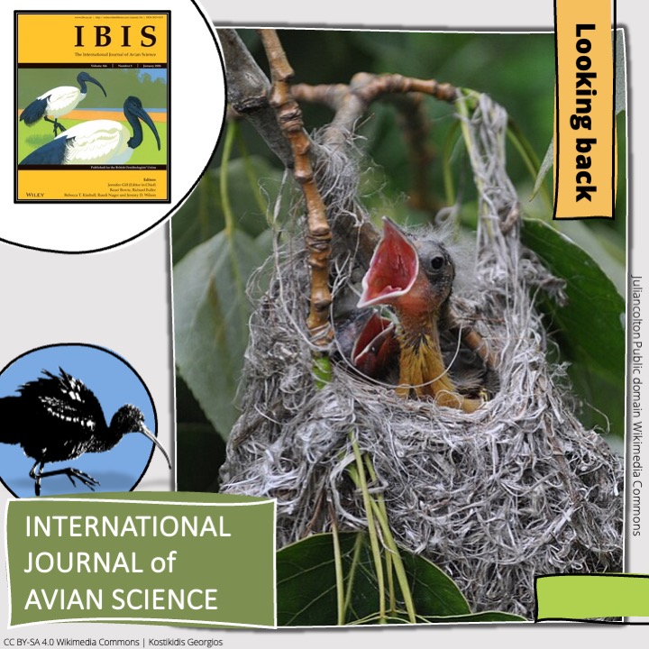 LOOKING BACK in IBIS

Nest attachment, rather than nest type, correlates with passerine bird brain size | onlinelibrary.wiley.com/doi/abs/10.111…

Abraão B. Leite, Agustín Camacho, Mercival R. Francisco | #ornithology