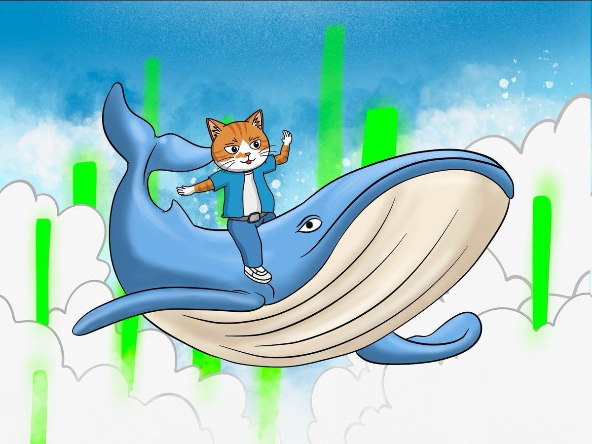 OMalleyToken's tweet image. O&apos;Malley is quickly becoming a firm favourite for whales... 😺🐳

#OMALLEY