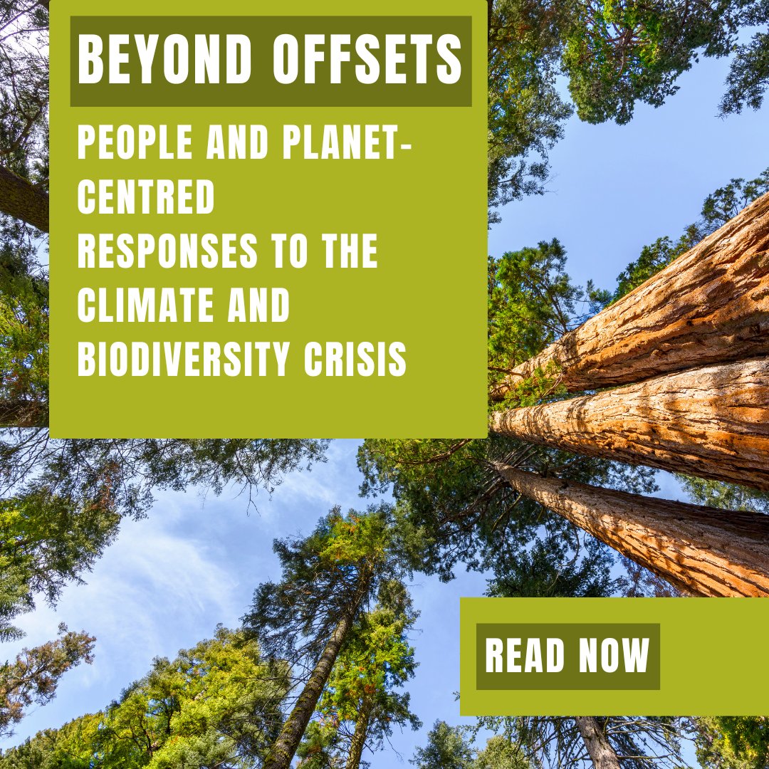 Funding that works means going beyond markets. 

This report looks for non-market solutions that put people at the centre, providing resources to #IndigenousPeoples and #LocalCommunities who need it most 

Read now: forestpeoples.org/publications-r… 

<a href="/Fern_NGO/">Fern</a> <a href="/RFUK/">RainforestFoundation</a>