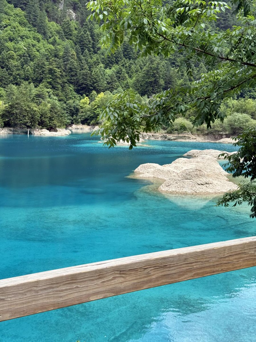 PandaGuide.fr tweet media