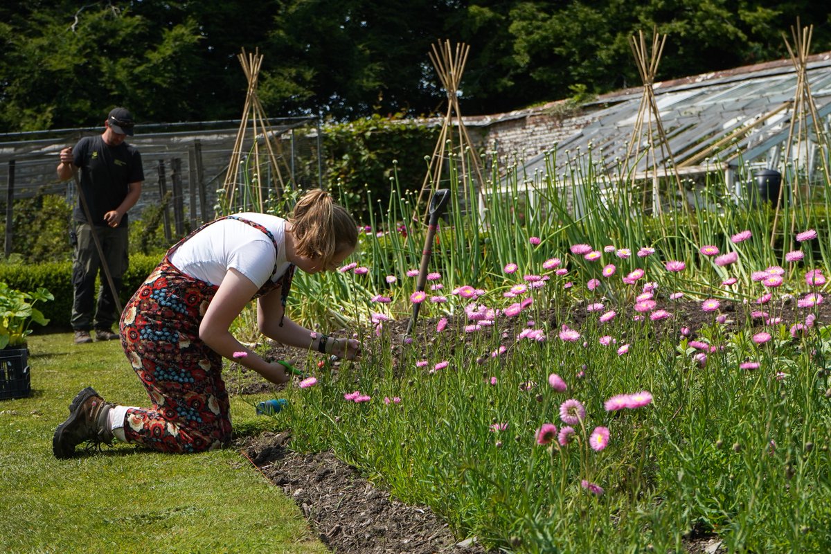 🎄 Too early to mention Christmas? We're already picking &amp; drying flowers for this year's festive display. After last year's dried flower tree success, we're going even bigger...

✨ The theme? Let’s just say it’ll be cracking 👀