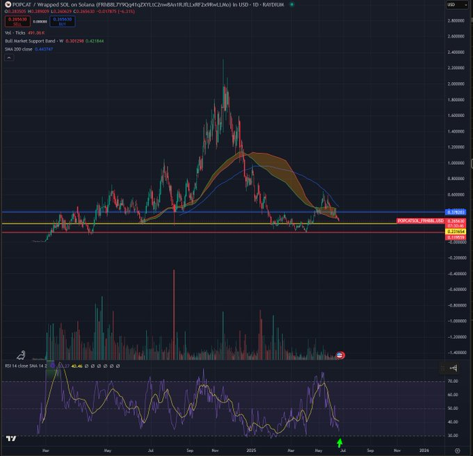 INJINEAR's tweet photo. $POPCAT coming back down to attractive levels to POP with SIZE again

TOPCAT will keep popping no matter the price BULLIEVE oatmeal 

The dogs to cats narrative and thesis will be POPtacular once it gains attention again https://t.co/288r3whMl7