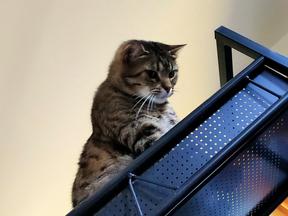 Ruby Mignot tweet media