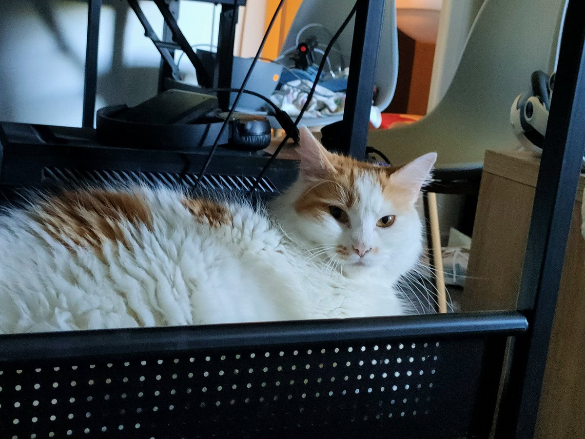 Ruby Mignot tweet media