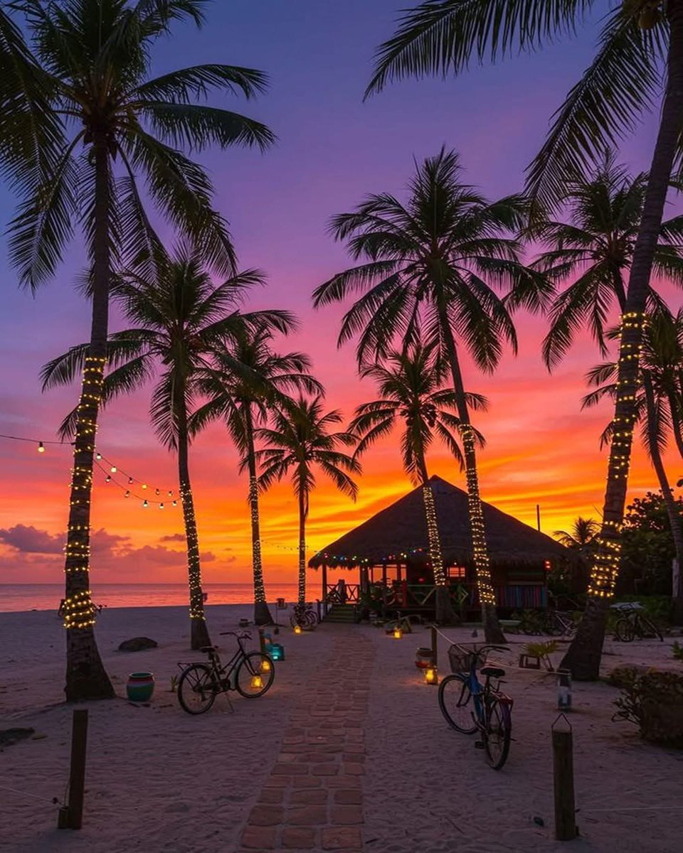 F Λ Y Λ F ♢ 𒉽 (@fayafox) on Twitter photo Good Evening 🌆  Where the sky burns in color and the soul finds peace🌴🔥 Good Evening 🌆  Where the sky burns in color and the soul finds peace🌴🔥