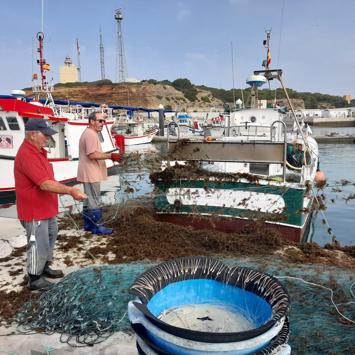 ‼️ La flota artesanal de Conil, al límite

Hoy la embarcación Nuevo Ángel Diego ha llegado al puerto con las redes repletas del alga invasora Rugulopteryx okamurae y sin un solo pescado.

💢 En verano no se puede pescar.
💢 En invierno no se puede salir.

📢 ¿Hasta cuándo?