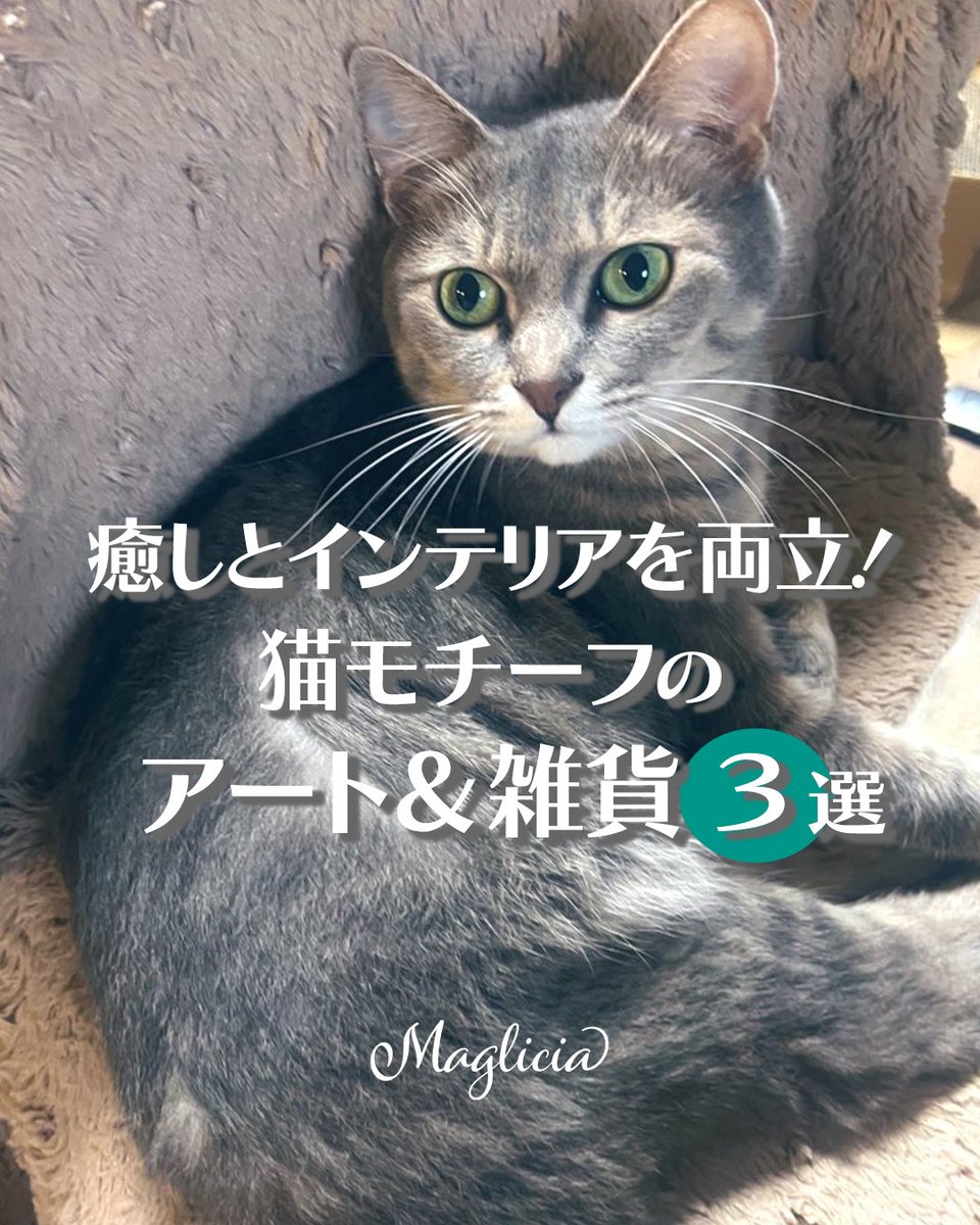 maglicia22's tweet photo. ■癒しとインテリアを両立！猫モチーフのアート＆雑貨3選

癒しとインテリアを両立してくれる、猫モチーフのアート＆雑貨3選をご紹介🐾

どれも日常にさりげなく取り入れられるデザインで、存在感を兼ね備えたアイテムばかり。

Instagramはこちら！
https://t.co/fhhKnuyJSz

#猫好きさんと繫がりたい https://t.co/t6xmbuk34b