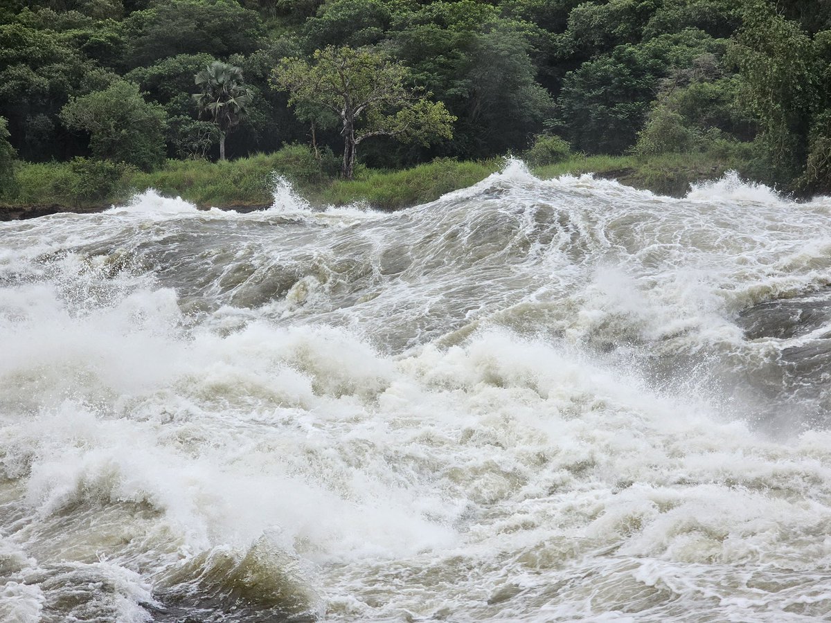 curious_tours1's tweet photo. Travelling & Adventuring💯✅..
TOP OF THE FALLS EXPERIENCE @murchisonfalls 🥰.

What a beautiful day!!❤️.

LET’S TAKE U THERE👌.
BOOK AN ADVENTUROUS EXPERIENCE
https://t.co/gbq7h1UQ7O

☎️ 0200931019 for more details

#ugandasafaritours #adventure #weekendtravelling #explore #safari #discover #murchisonfalls #goodtimes #memories