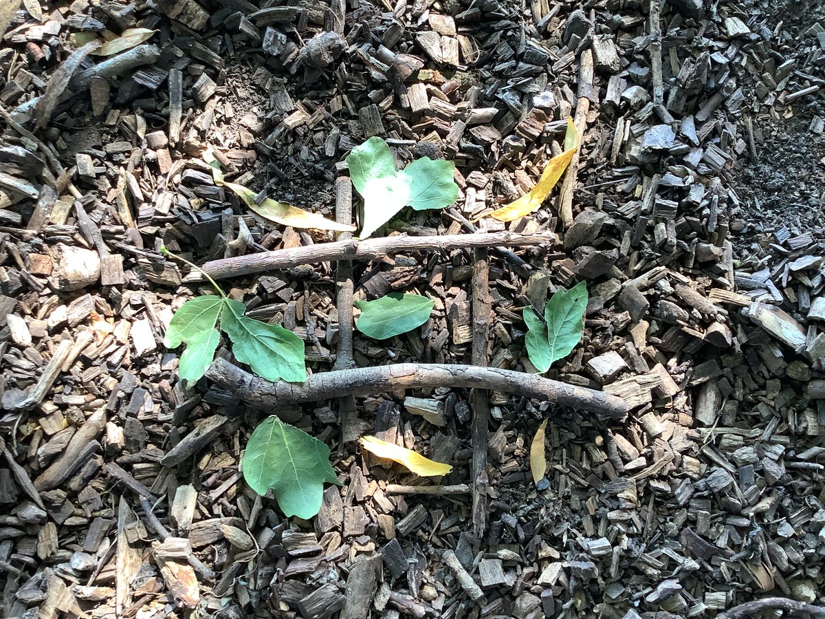 This term, we have started a mindfulness after school club. In their first session this week they made their own nature pictures. Take a look at their creations...