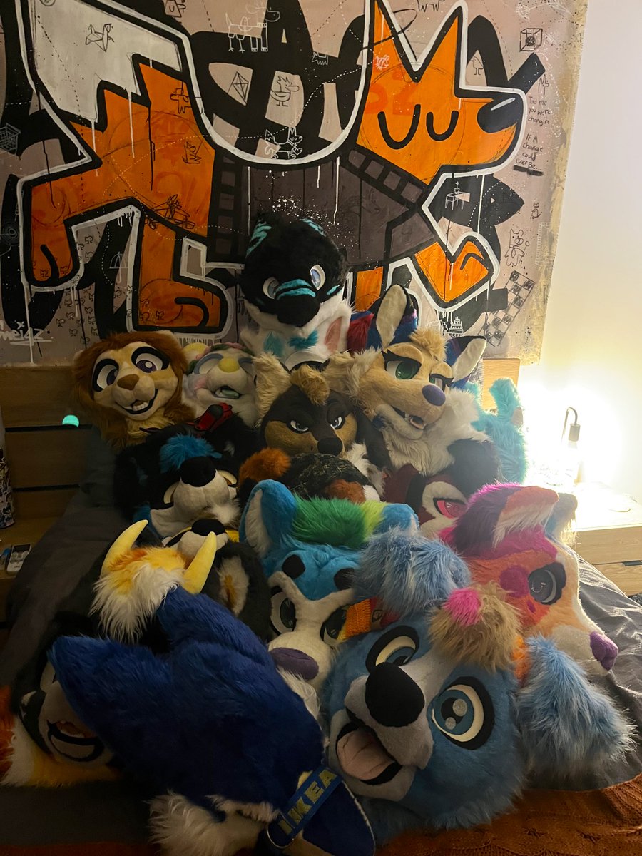 when i say a lot of head happens in this room this is all i’m really talking about 🐶🐾

#furry #fursuit