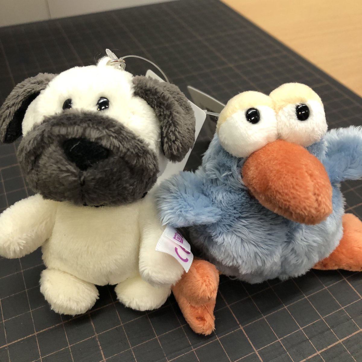 Hi_NOTE_isesaki's tweet image. ドイツ生まれのぬいぐるみNICI(ニキ)がハイノート伊勢崎店にも登場です💙
安全でポップなデザインのぬいぐるみキーホルダー✨
たーくさん入荷しました✨✨
どれも可愛くて、どれにしようか迷っちゃいます!みなさんは
どのキャラクターが好きですか??
#ハイノート伊勢崎店 #ハイノート #ニキ