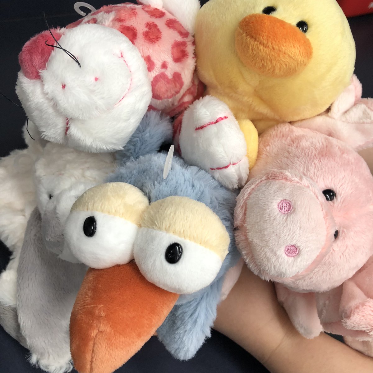 Hi_NOTE_isesaki's tweet image. ドイツ生まれのぬいぐるみNICI(ニキ)がハイノート伊勢崎店にも登場です💙
安全でポップなデザインのぬいぐるみキーホルダー✨
たーくさん入荷しました✨✨
どれも可愛くて、どれにしようか迷っちゃいます!みなさんは
どのキャラクターが好きですか??
#ハイノート伊勢崎店 #ハイノート #ニキ