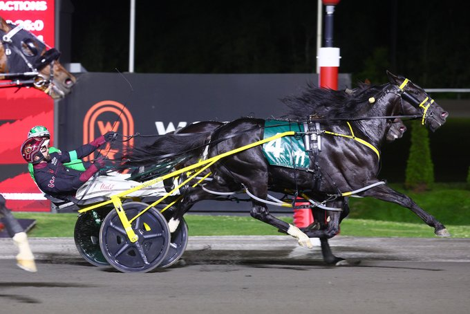 HPIbet (@hpibet) on Twitter photo Woodbine Mohawk Park - 5 Nights a Week | π
Tuesday racing returns tomorrow as <a href="/WoodbineSB/">Woodbine Mohawk Park</a> returns to racing 5 nights a week at 6:35 p.m EDT !
A 10-race card features 7β£ Ontario Sires Stakes Grassroots divisions Woodbine Mohawk Park - 5 Nights a Week | π
Tuesday racing returns tomorrow as <a href="/WoodbineSB/">Woodbine Mohawk Park</a> returns to racing 5 nights a week at 6:35 p.m EDT !
A 10-race card features 7β£ Ontario Sires Stakes Grassroots divisions