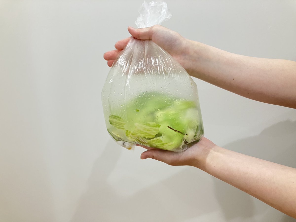 zennoh_food's tweet image. 暑すぎて溶けてしまいそうな日々…さっぱりしたものが食べたい…そんなときに☺️✨
レタスをちぎってさっと洗って水気を切ってポリ袋にレタス、ごま油、塩昆布を入れて味を馴染ませたら出来上がり😋
お好みでいりごまを入れても美味しいです😋きゅうりなど他のお野菜でつくっても🙆♀️