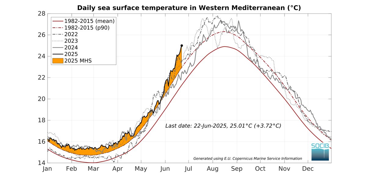 El Mediterráneo occidental en 2025 es otro mundo. Excepto un par de días, TODO el 2025 hemos estado en niveles de ola de calor marina. 

Inaudito. Y lo que queda...