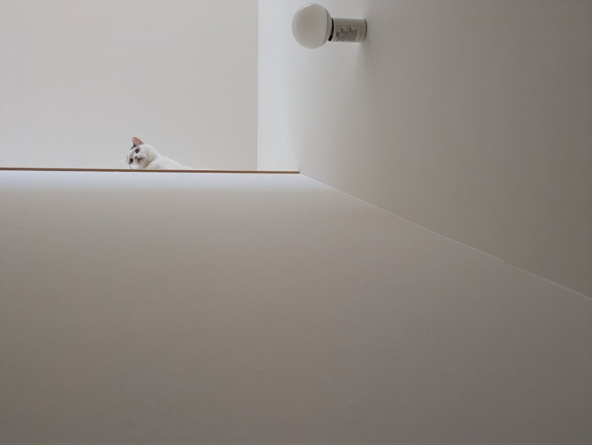 Taiyo☀Yamamoto tweet media