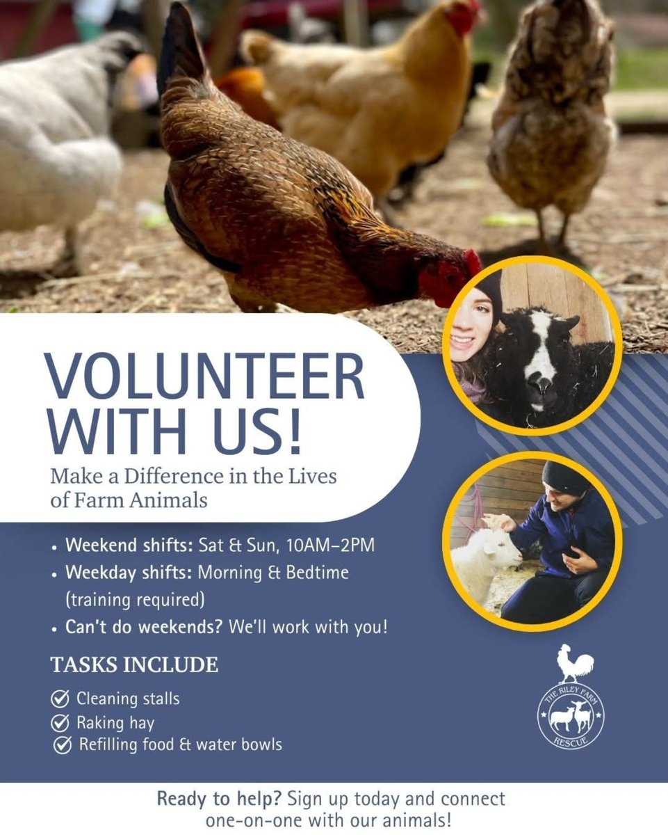 RileyFarmRescue's tweet image. Ever thought about how you can make a tangible difference in the lives of animals who desperately need your help? 🐾💔 🌟💖 Join us today and help us continue our mission.
therileyfarmrescue.org/volunteer