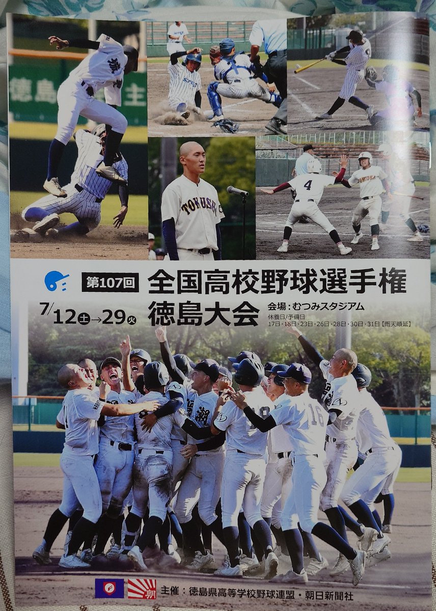 徳島池田⚾️応援！猫と食い物好きのおっさん (@mmaiu_bihoomaru
