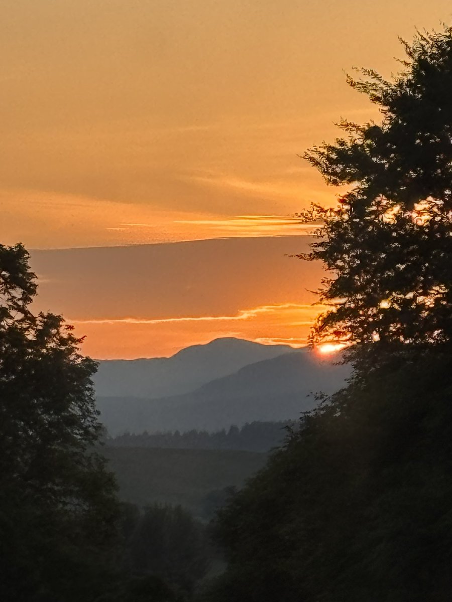 LaurenceMarks (@laurencemarks64) on Twitter photo 