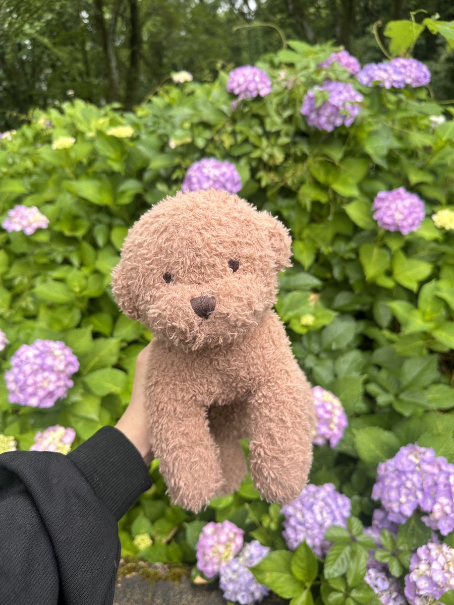 もっち。 (@mocchi__0312) / Posts / X